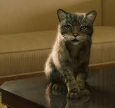 Pin By Attia Roman On Cat His Dark Materials Dark Material The Golden Compass
