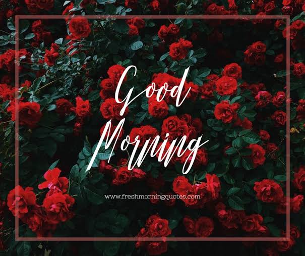 Image result for good morning"