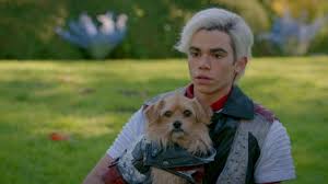 Cameron boyce was so excited for me…his all too brief appearance in this life, though, inspired me beyond words and many of us here and generations of kids and families all over this world, he said. Cameron Boyce Descendants Dog 1920x1080 Wallpaper Teahub Io