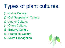 Our editors will review what you've submitted and determine whether to revise the article. Plant Tissue Culture Ppt Video Online Download