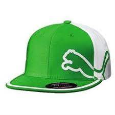 Puma Golf Monoline 210 Cap Green White L Xl Golf Fashion Cap Golf Gear