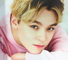 He has a unique sense of humor and he sees things in a different way. Vernon Seventeen Facts And Profile Vernon S Ideal Type Updated