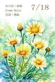每日一花7 18 haru hello watercolor flowers plant illustration flower drawing