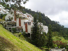 Hotel pines resort, bukit fraser: Fraser S Pine Resort The Pines Resort Team Building And Leadership Training Programmes Fraser S Hill Pahang Malaysia