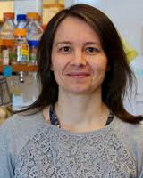 Faculty by Last Name