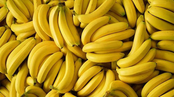 As you know banana is commonly used fruit every where but you know banana  is very helpful for health you didn't know it's health benefits then click  below and read how banana