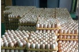 Telur ayam ras, tidak dibuahi. Lagi Heboh Soal Telur Infertil Dijual Bebas Bikers Harus Tahu Bahayanya Dan Bagaimana Ciri Cirinya Semua Halaman Gridmotor Id