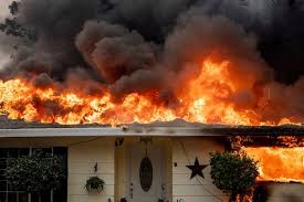 Summer time means lots of night time activities call today! How Paradise Went Up In Flames The New York Times