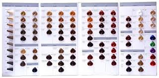 Determine the undertone found at the target level (see level system chart). Ceris Professional