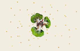 Il vit des aventures surprenantes et découvre des. The Little Prince Wallpapers Wallpaper Cave