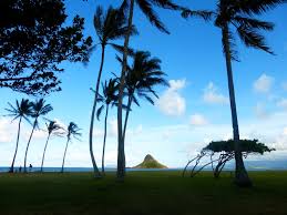 Aloha Mahalo Und Hula Mein Kleines Hawaiianisch Worterbuch Insel 5 buchstaben kreuzworträtsel lösungen und antworten.