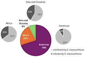 Image result for Physostigma mesoponticum