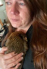 What are humane ways to end the suffering of a very sick chicken?