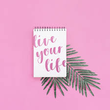 Download Free Psd Notepad Mockup With Palm Leaf