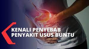 Sebab, pada ginjal yang sehat biasanya memproduksi hormon eritropoietin (epo) dan memicu produksi sel darah merah yang berguna membawa oksigen. Mengenal Tanda Tanda Dan Penyebab Penyakit Usus Buntu Youtube