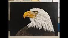 141. how to paint an eagle in acrylic - YouTube
