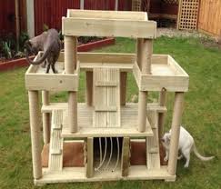 Outdoor Kratzbaume Uk Niedrigste Preise Garantiert Garantiert Niedrigste Outdoorkratzbaume Prei Selbstgebauter Kratzbaum Katzenschloss Getigerte Katzen