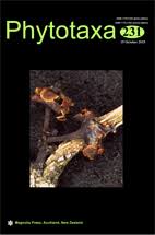 Image result for Costularia