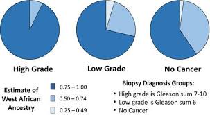 When malignant cancer cells form and grow within a person's breast tissue, breast cancer occurs. Self Identified African Americans And Prostate Cancer Risk West African Genetic Ancestry Is Associated With Prostate Cancer Diagnosis And With Higher Gleason Sum On Biopsy Cancer Medicine X Mol