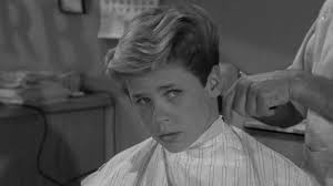 Watch Leave It to Beaver • Season 1 Full Episodes Free Online