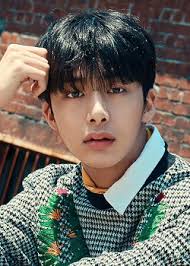 What's hyungwon's favorite karaoke song again? Asian Wiki Idol Battle Likes