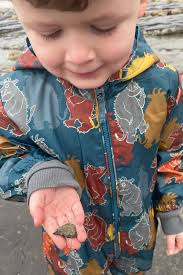 Beachcombing In Whitby & The Surrounding Areas