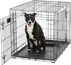 We did not find results for: How To Crate Train A Dog According To A Professional Dog Trainer