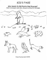 See more ideas about habitats, coloring pages, . Prairie Animals Coloring Pages Coloring Home