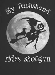 Black And White Duos Halloween You Bet She Does Dachshund Lovers