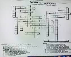 Enter the answer length or the answer pattern to get better results. Uss Word Pdf Central Nervous System Complete The Chegg Com