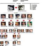 Family Tree Of Nehru Gandhi Family Starsunfolded