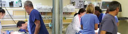 These are the best free things to do in all of las vegas. Nursing Program Csn