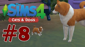 Yavru Kopekler The Sims 4 Cats Dogs 8 Youtube