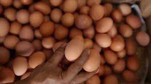 Maybe you would like to learn more about one of these? Mengenal Tipe Tipe Telur Yang Dijual Di Pasaran Dan Perbedaannya Telur Organik Hingga Cage Free Pos Belitung