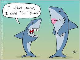 He deserves some luck at least. Bulls Vs Sharks Funny Pictures