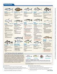 Freshwater/saltwater license lines on tidal waters. Florida Recreational Saltwater Fishing Bag Limits Seasons