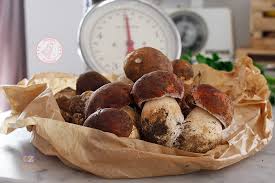 We did not find results for: I Funghi Freschi Secchi O Congelati In Cucina Allacciate Il Grembiule