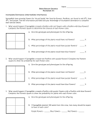 Spongebob squarepants genetics quiz page 3 of 5 formative assessment at the end of the lesson, students will create an exit ticket punnett square manipulatives will be checked during direct instruction, guided practice, and independent practice. Https Pdf4pro Com File D94f1 Biology Wp Content Uploads 2017 02 Sponge Bob Genetics 3 Pdf Pdf