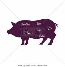 Pork Meat Pig Cuts Vector Photo Free Trial Bigstock