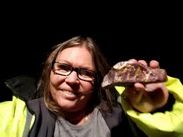 White Wings frozen ice block range 1981 Must click