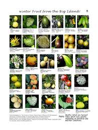Winter Fruit On The Big Island Fruit In Season Winter Fruit Fruit