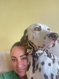 Is the dog Velcro or the hair?