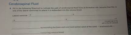 Solved Cerebrospinal Fluid 9 Fill In The Following Flowc