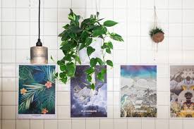 37 reviews add photos all (17) inside (5) drink (4) outside (2) search playground coffee shop instagram can offer you many choices to save money thanks to 25 active. Hamburg St Pauli Playground Coffee Fraulein Anker