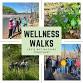 Wellness Walk at Frog Hollow Trail event image