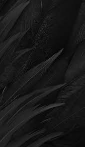 Check spelling or type a new query. High Resolution Matte Black Background Hd