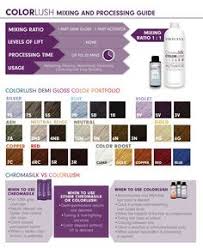 pravana color conversion chart www bedowntowndaytona com