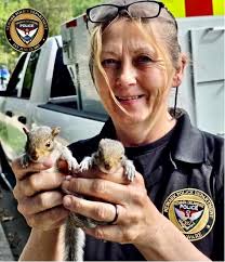 Shoutout to ACO Donna Vickers! 🐿️💙 This week, Animal Control Officer  Donna Vickers came to the rescue of several baby squirrels found  disoriented and likely orphaned in one of our Newark neighborhoods.