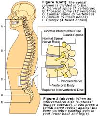 Pin On Health
