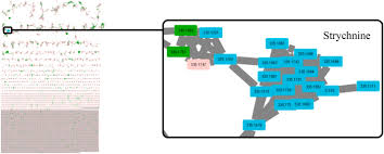 Image result for Strychnos gossweileri